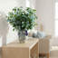 Budding Stems in Decorative Vase-1083971574