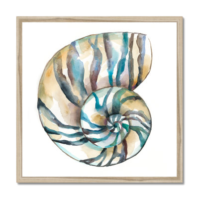 Aquarelle Shells II 1 Piece Painting