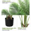 84 plantes