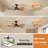42'' Ceiling Fan With LED Lights for  Medium Rooms Black-2026293071