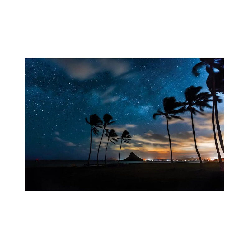 Hawaiian Stardust 1 Piece Wrapped Canvas Wall Art, 30.48 cm H x 45.72 cm W