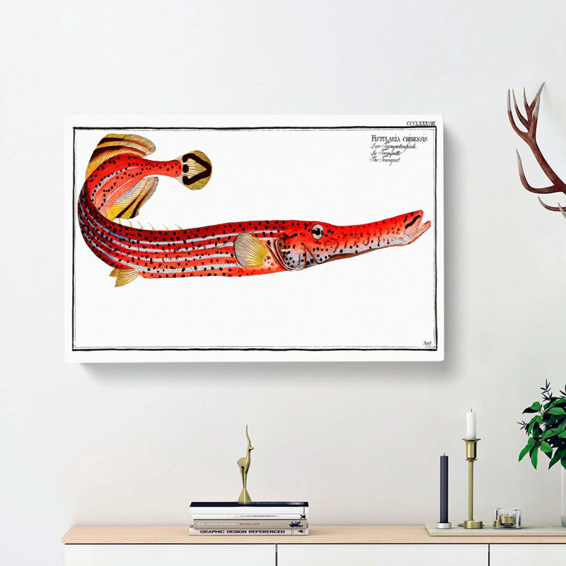 Trumpet Fish by M.E. Bloch - Wrapped Canvas Painting, 35cm H x 50cm W x 3cm D