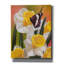 «Daffodils Butterfly» par William Vanderdasson-1943148201