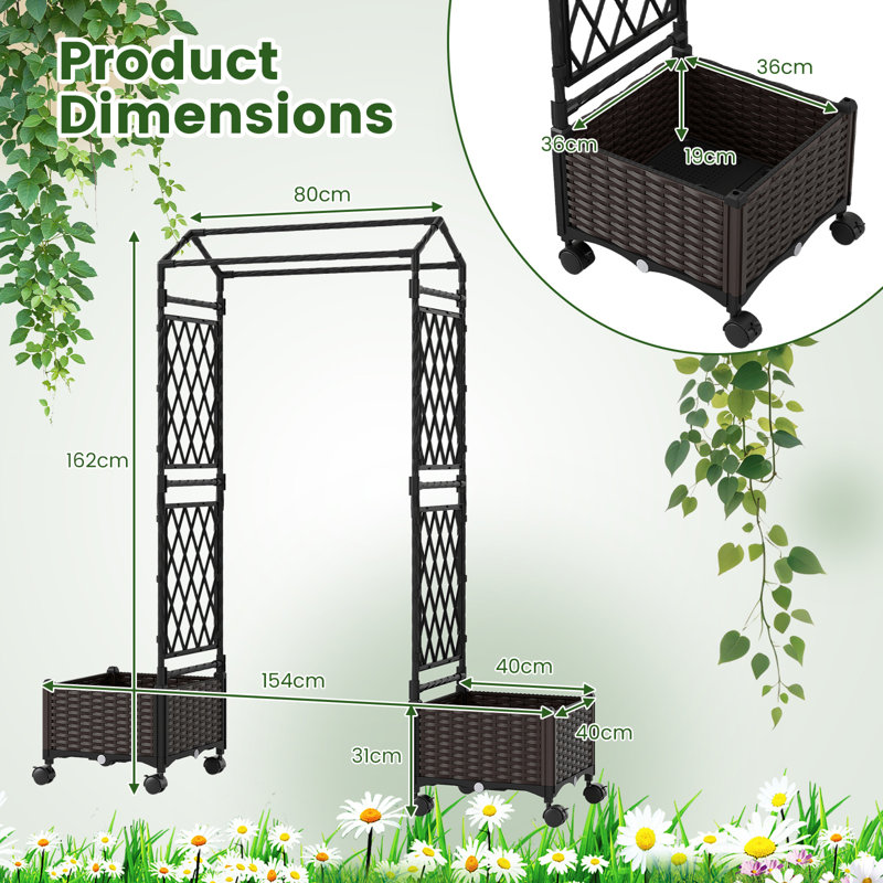 162cm H x 80cm W Expanding Trellis