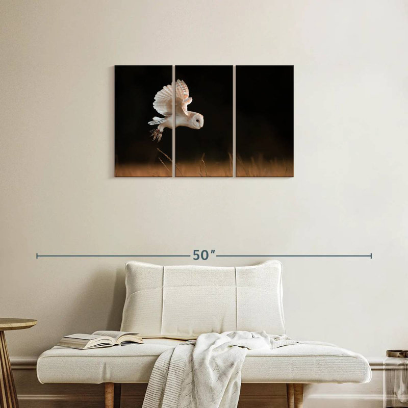 Brampt Barn Owl Beauty, 20" H x 33" W