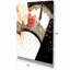 Femmes sexy - impression sur toile tendue-29507120