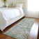 Machine Washable Indoor/Outdoor Xhevrie Sage Rug