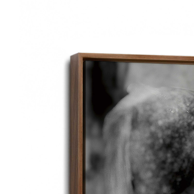 «Painted Pony» par Nathan Larson, reproduction d'art, 36 W x 24 H, Brown, Framed Canvas