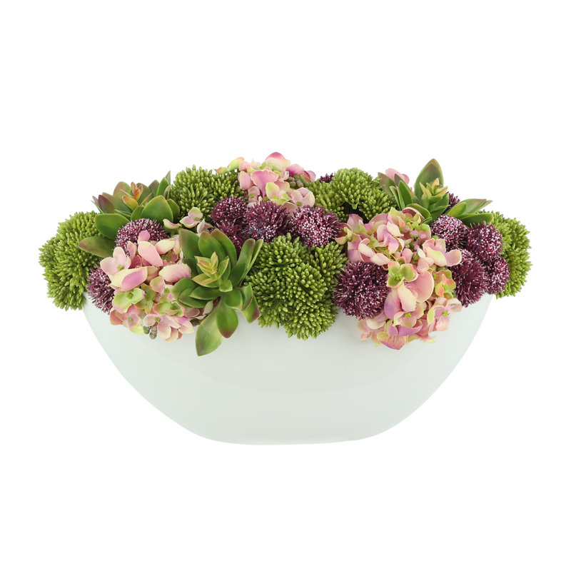 Hortensia, plantes grasses et pompon dans un pot à fleurs blanc