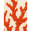 Coral Dreams Print-1093389429-1093389434-1093389436