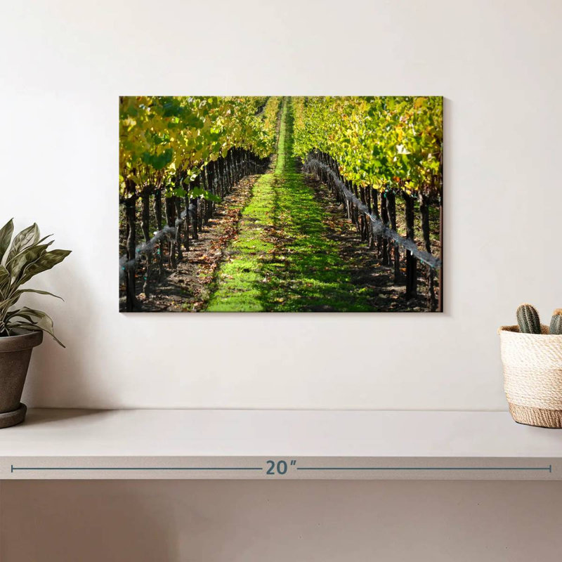 Yarlin Napa Valley Vineyard, H 8 po x l 12 po