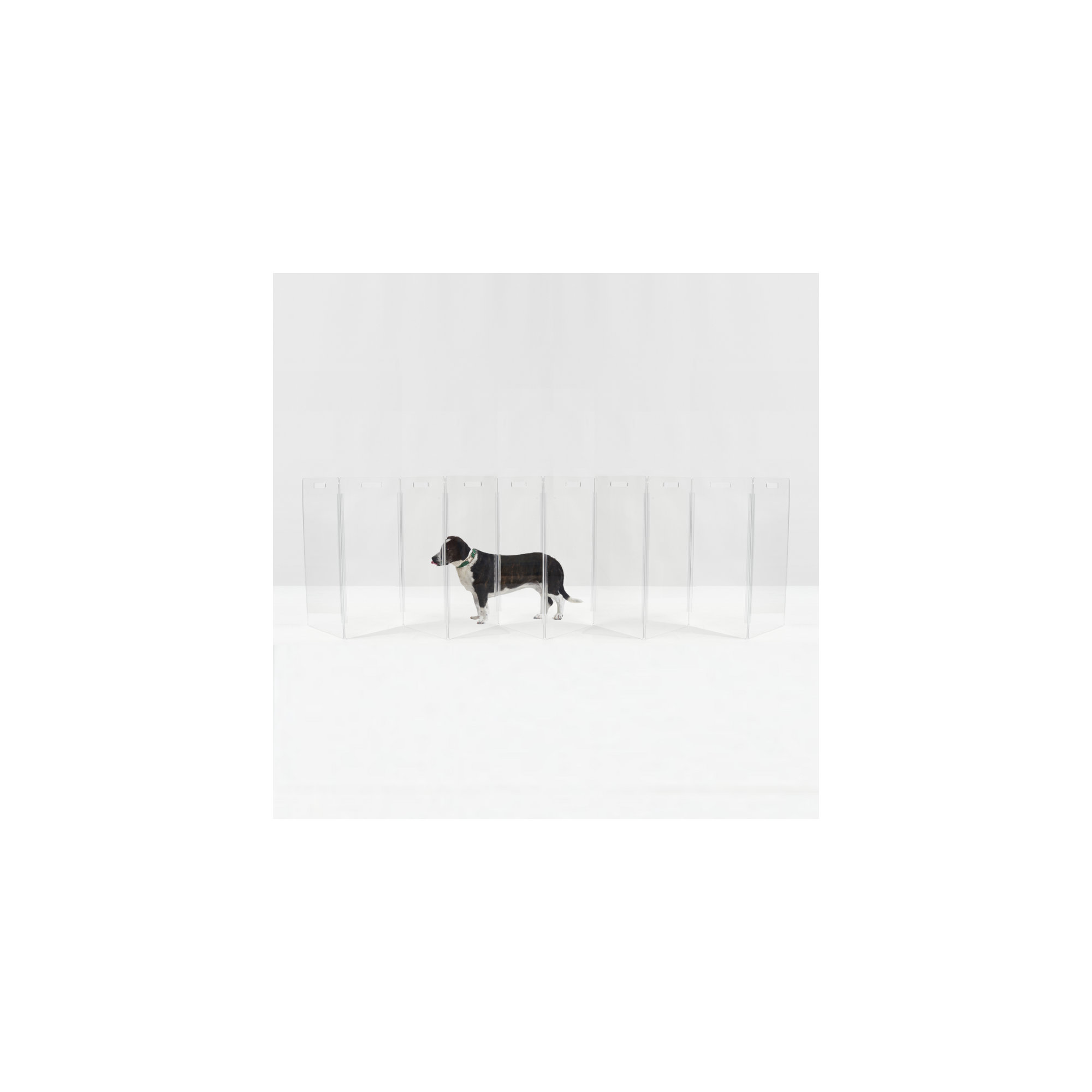 Tall Zig Zag Clear Pet Gate, 10-Panel
