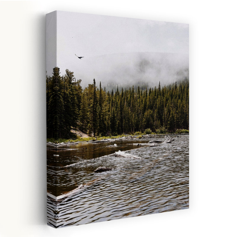 Contemporary Art Peaceful Rustic Serene Fir Pine Forest Landscape Wall Art 1 Piece Wrapped Canvas Wall Art