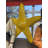 Comic Starfish Sequin Statue