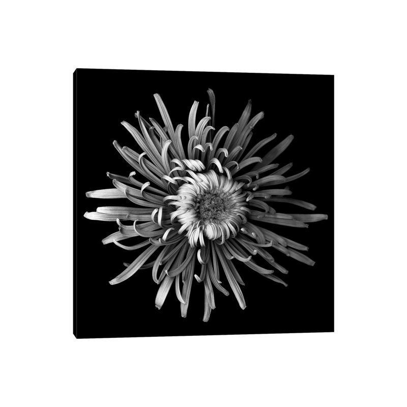 Mum Special by Magda Indigo - Wrapped Canvas Gallery-Wrapped Canvas Giclée, 45.72 cm H x 45.72 cm W
