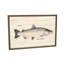 Silver Salmon Print-957647781