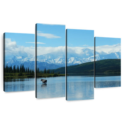 Brampt Wonder Lake Landscape
