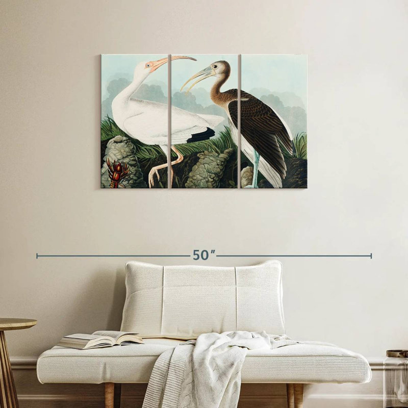 Brampt White Ibis, 24" H x 38" W