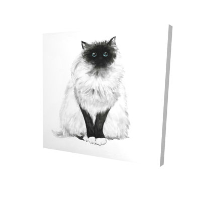 Eyes Fluffy Siamese Cat Print On Canvas
