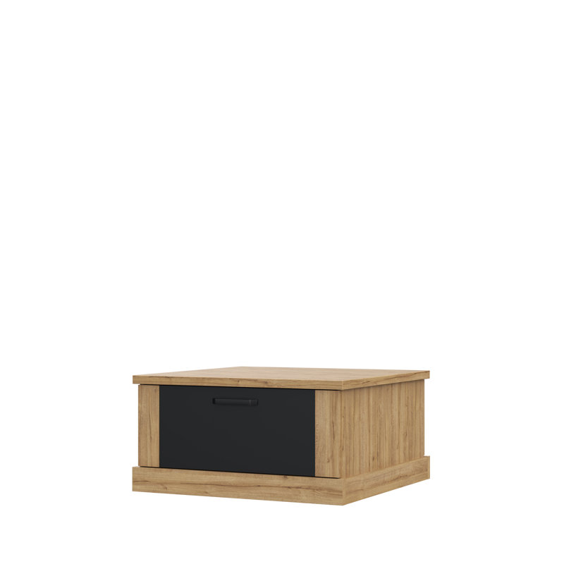Lauran Solid Coffee Table with Storage