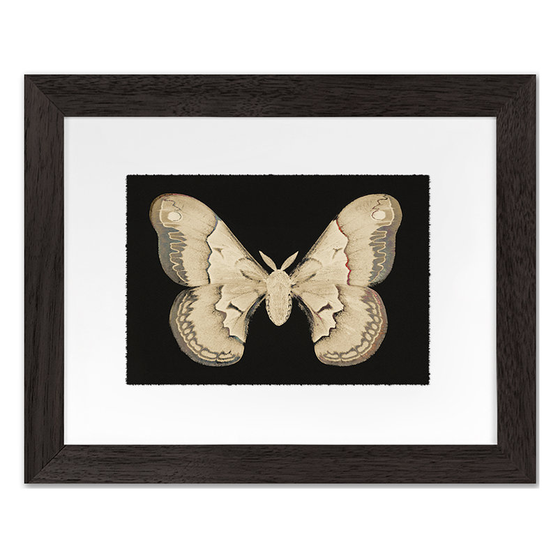 Flutter 7 Print by Todaro, Katie