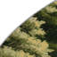 Tapis d'intérieur et d'extérieur vert Nature-540621021