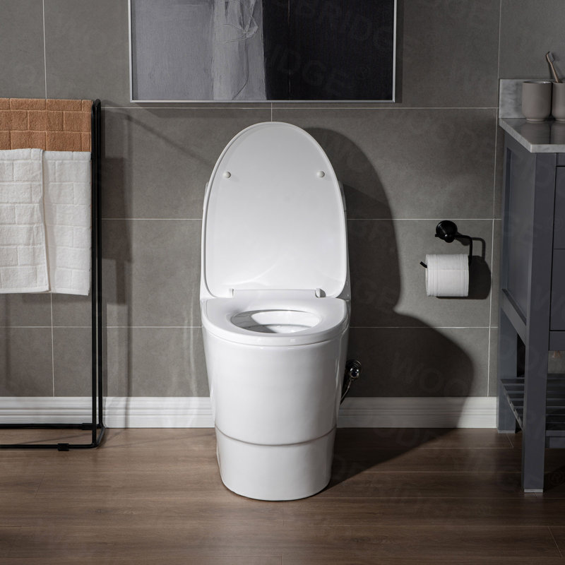 1.28 GPF Elongated ADA Height One Piece Dual-Flush Toilet with Soft-Closing Seat,MAP Flushing 1000G, Blanc
