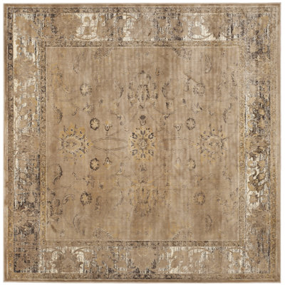 Evanoff Taupe Area Rug