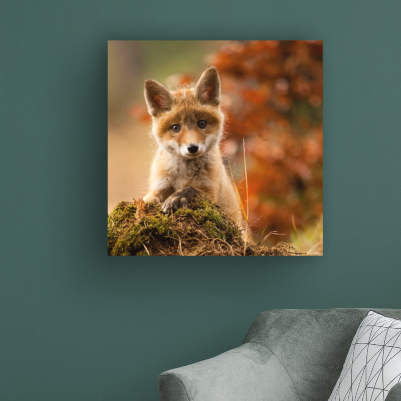Fox par Robert Adamec - reproduction de photo sur toile tendue, H 24 po x l 24 po x P 2 po