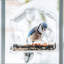 Mangeoire d'oiseaux sur plateau
