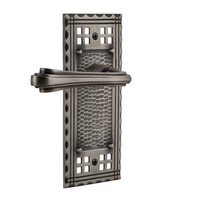 Craftsman Plate Single Dummy with Fleur Lever