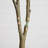 7Ft. Artificial Dogwood Tree