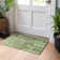  Machine Washable Indoor/Outdoor Chayden ACN1063 Rug