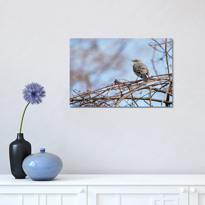 Grey & Blue by David Gardiner - Wrapped Canvas Print