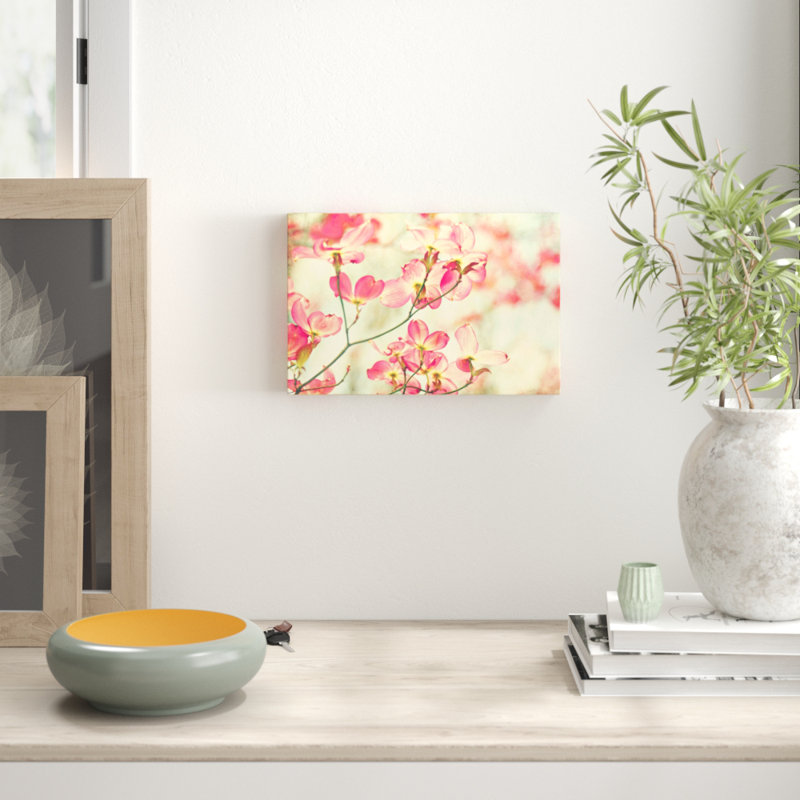 Sylvia Cook - Wrapped Canvas Print, 30cm H x 45cm W