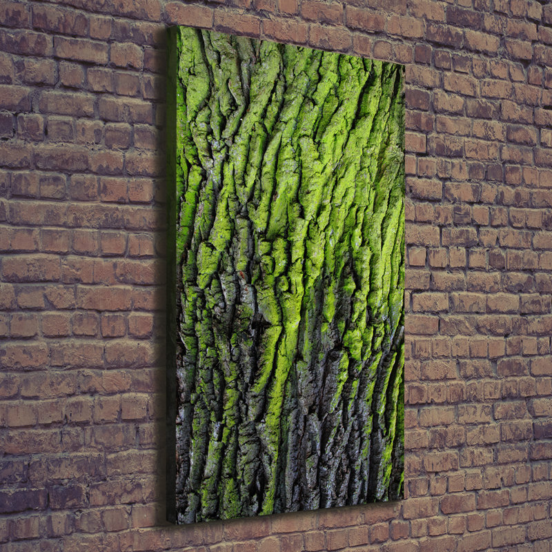 Tree Bark - Wrapped Canvas Print