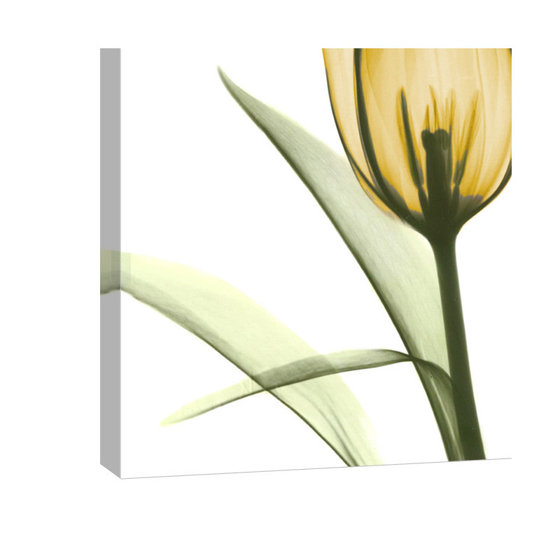 «Live Passionately Tulips», impression sur toile tendue, H 36 po x l 36 po