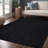 Kinsella Easy Jute Natural Indoor/Outdoor Area Rug-197539897