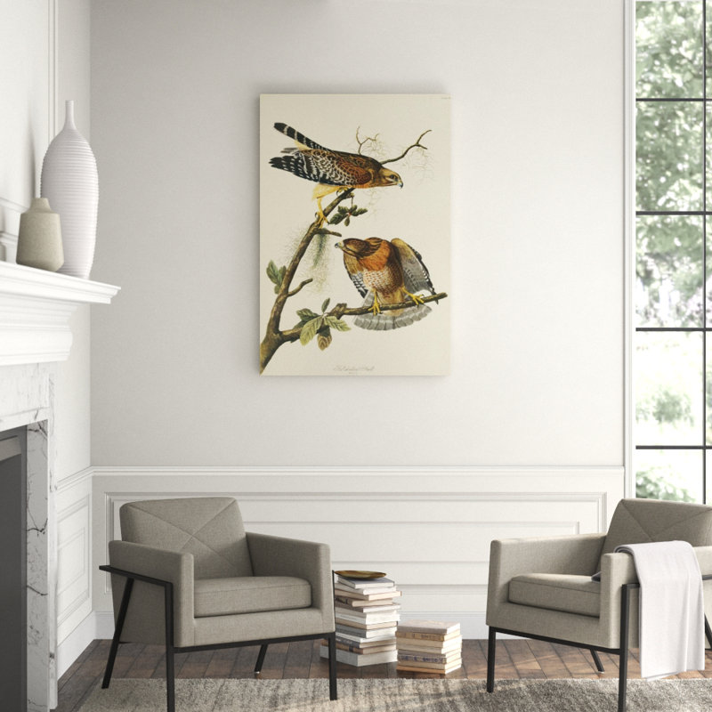 Red Shouldered Hawk Print by James Audubon
