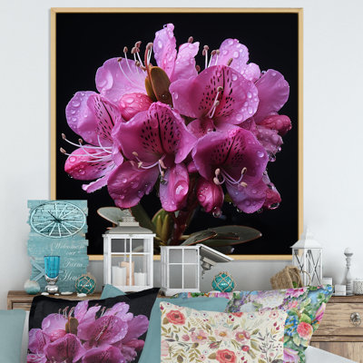 Singular Beauty Of Purple Rhododendrons II - Rhododendron Wall Art