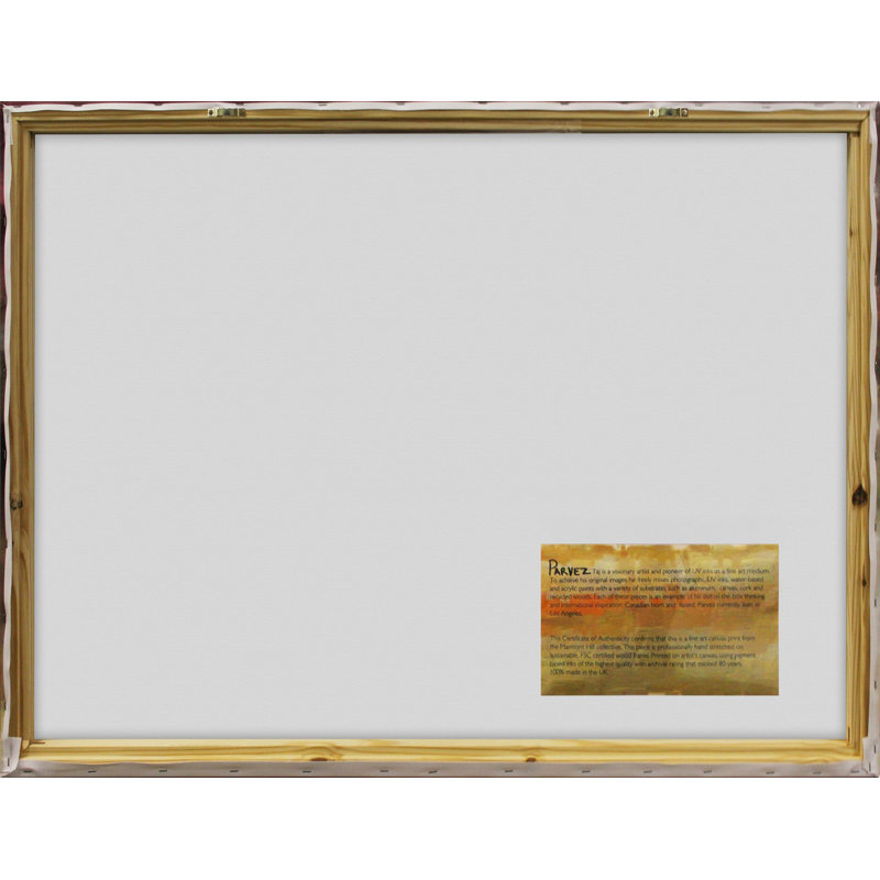 Andrea Doss - Wrapped Canvas Print, 101cm H x 132cm W x 3.81cm D