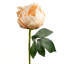 Peony Faux Floral-2036421906