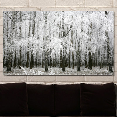 " Birching Around IV "