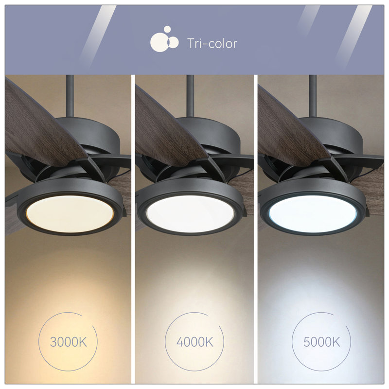 Light Pro In. Ventilateur de plafond intelligent à DEL à DEL avec ensemble d'éclairage et moteur à courant continu réversible