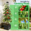 145 cm H x 25 cm W Resin Arched Trellis