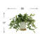 Nugent Faux Tradescantia Plant in Ceramic Vase