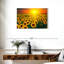 Alvord, coucher de soleil avec tournesols-107502716