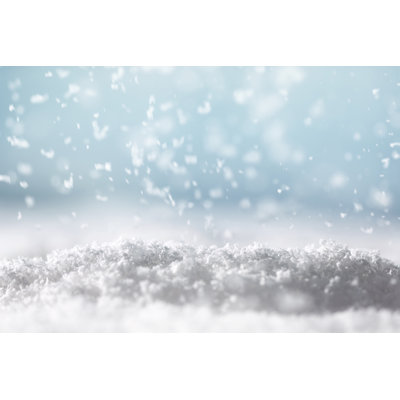 Snow Fall