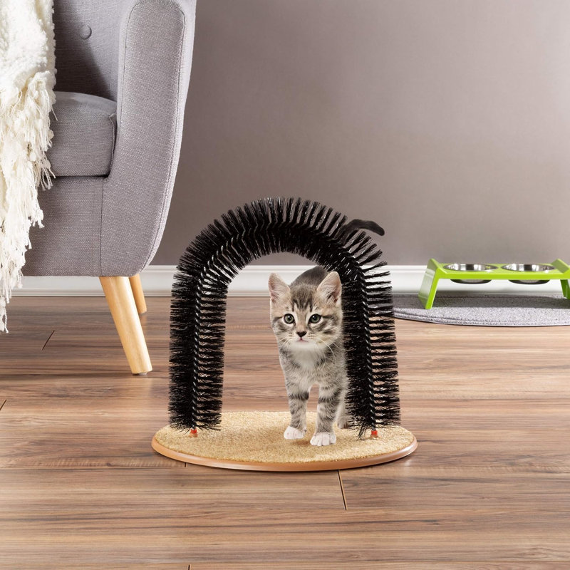 Chat autoportant, brosse à poils, arche pour chat avec base en moquette, griffoir arrière et masseur pour contrôler la perte de poils et les griffes