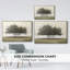 Arbres dans le brouillard II-233045857-233045860